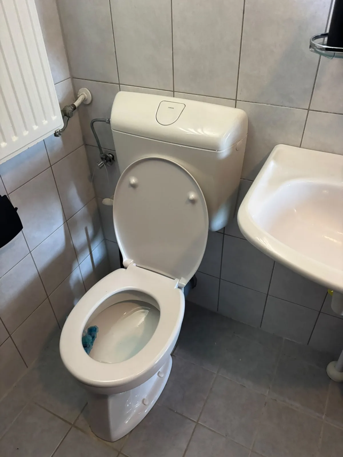 Badkamer met toilet, wastafel en radiator, bidetsproeier naast toilet zichtbaar.