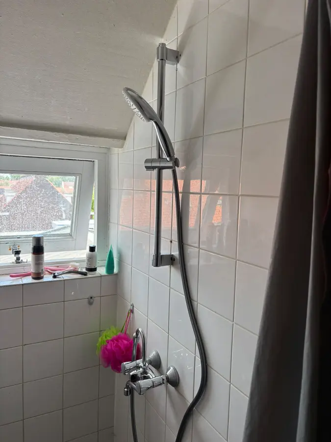 Badkamerrenovatie — Douche met glijstang en handdouche bij een raam