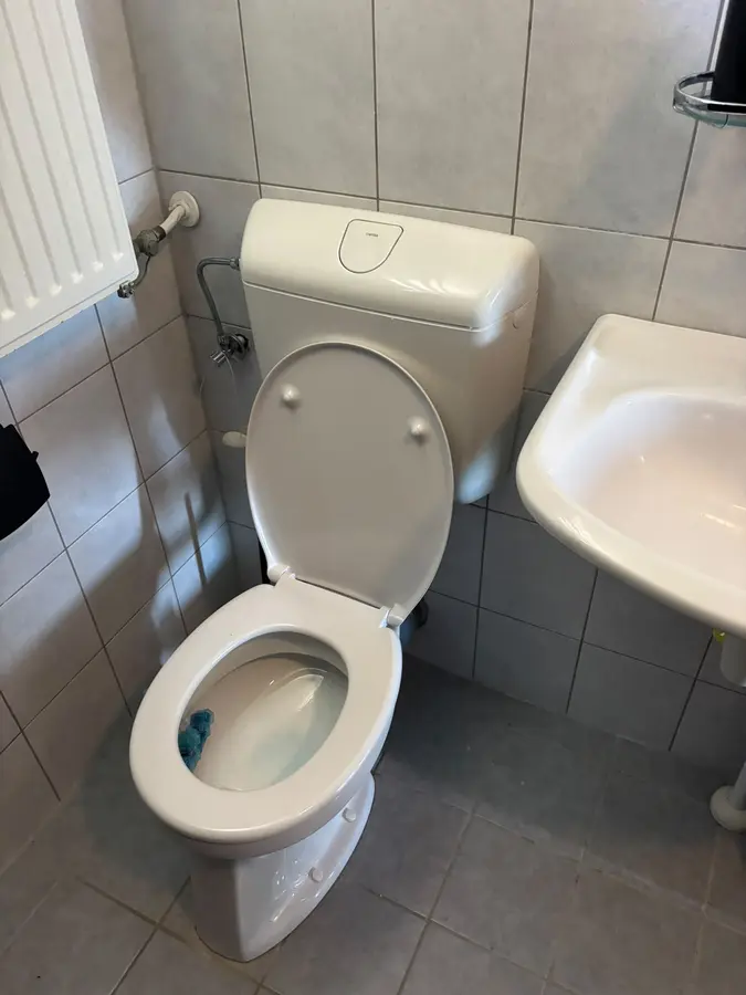 Sanitair & kranen — Toilet met stortbak naast een fonteintje in een betegelde ruimte